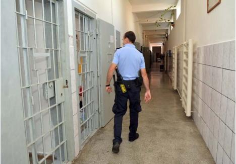 PLOŞNIŢE LA CEDO. Condiţiile necorespunzătoare din Penitenciarul Oradea au fost reclamate de mai mulţi deţinuţi la CEDO. Ioan Poenar, un preot hunedorean client al DNA, arestat în 2015 într-un dosar de evaziune fiscală, a strâns într-un borcan ploşniţele care l-au "vampirizat" de-a lungul şederii în celulă ca să le trimită judecătorilor europeni, drept dovadă a mizeriei de care a avut parte