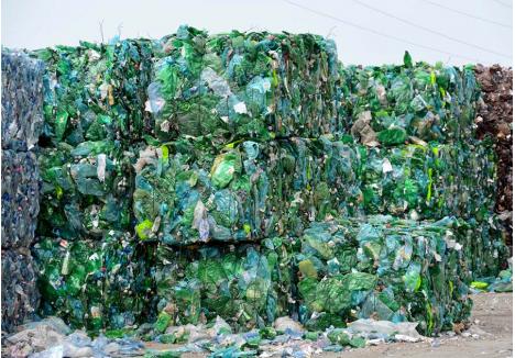 PE CULORI. La staţia de sortare a Oradiei, deşeurile reciclabile sunt împărţite în mai multe categorii. De pildă, flacoanele sunt triate în funcţie de culoarea lor