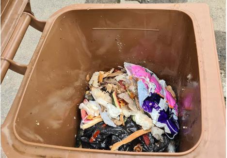 FĂRĂ PLASTIC. În pubelele de culoare maro, deșeurile biodegradabile trebuie să ajungă fără plastic, pentru că acesta va polua îngrășământul, produsul final în care se transformă resturile organice
