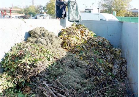 GRATUIT. La cele două centre de colectare separată din Oradea, toți locuitorii orașului pot preda gratuit 12 tipuri de deșeuri, inclusiv vegetale