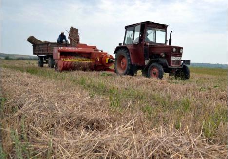 SE SCUMPEŞTE! Preţul terenurilor agricole e în continuă creştere. "În Bihor nu prea vinde nimeni şi atunci, normal, preţurile urcă. Pentru un hectar pe care anul trecut plăteai 2.500-3.000 euro, acum dai cu 500-1.000 euro în plus", spune Ioan Cuc, unul dintre cei mai mari fermieri din judeţ