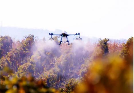 DRONA DE VIE. Lipsa de personal din agricultură îi determină pe fermieri să investească în drone pentru lucrări agricole. „În câțiva ani toate fermele vor implementa tehnologii moderne, pentru că nu vor mai avea oameni cu care să lucreze, iar folosirea dronelor este destul de ușor de învățat”, avertizează Betty Darabont, care lucrează cu drone podgoria familiei, de 40 de hectare, din Biharia