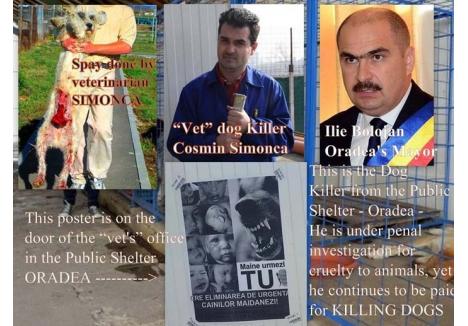 MĂCELARUL. Veterinarul Cosmin Şimonca a devenit celebru pe internet, unde militanţii pentru protecţia animalelor l-au denumit "măcelar" de câini, publicându-i şi posterul care cerea eliminarea câinilor vagabonzi, ce era lipit chiar pe uşa cabinetului său
