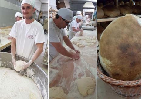 DIN MÂNĂ. Pâinea tradiţională de Salonta e ruptă şi frământată cu mâna, pentru a căpăta forma şi consistenţa care au făcut-o celebră