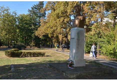 Cel mai votat proiect de până acum a fost înlocuirea bustului poetului Petőfi Sándor din parcul cu același nume cu o statuie din brons.
