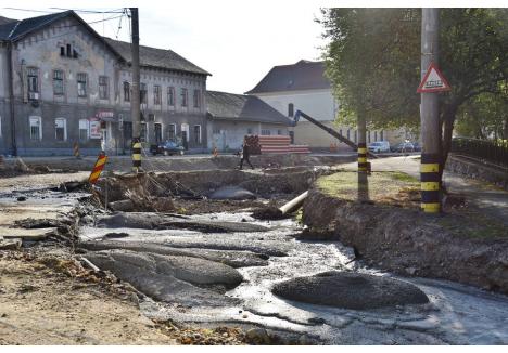Foto: Szilágyi Lóránd / BIHOREANUL