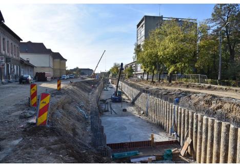 Foto: Szilágyi Lóránd / BIHOREANUL