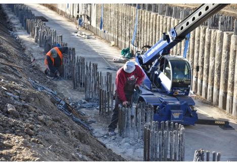 Foto: Szilágyi Lóránd / BIHOREANUL