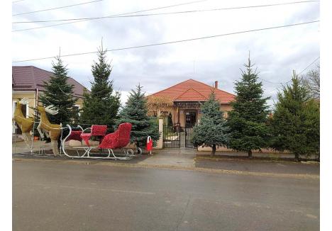 (sursa foto: Facebook / Primăria comunei Tămăşeu)