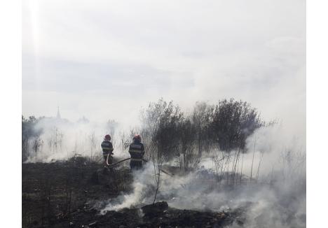 Foto: ISU Crișana - Bihor