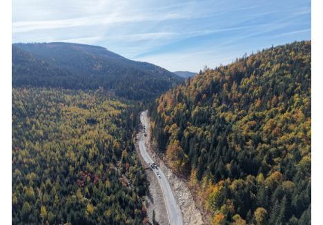 Foto: Consiliul Județean Bihor