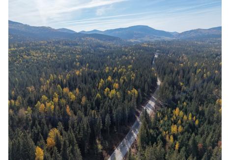 Foto: Consiliul Județean Bihor