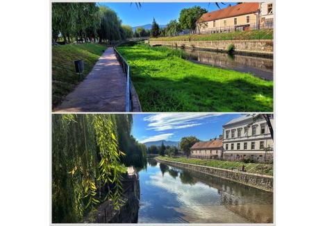 (sursa foto: ABA Crișuri)