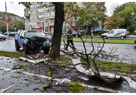 Foto: Szilágyi Lóránd / BIHOREANUL