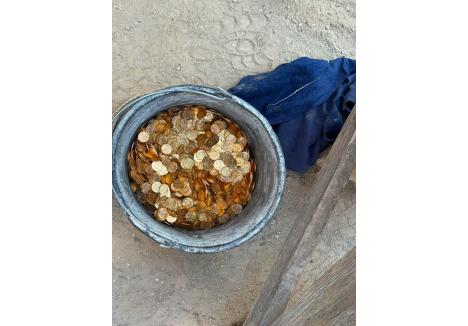 (foto: Poliția Dendermonde)