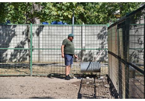 Foto: Szilágyi Lóránd / BIHOREANUL