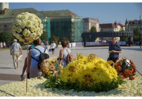 Foto: Paul Lelea / BIHOREANUL