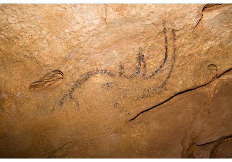 Unul din desenele descoperite în peștera Coliboaia (foto: Andrei Posmoșanu)