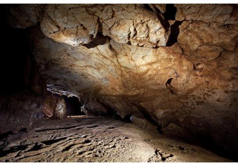 Peștera Coliboaia (sursa foto: Muzeul Țării Crișurilor)