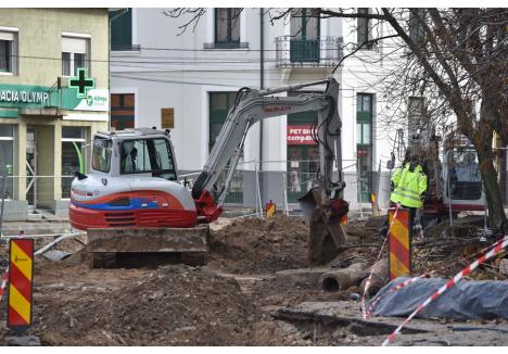 Foto: Szilágyi Lóránd / BIHOREANUL