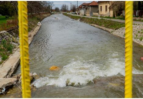 (foto: generic / arhivă)