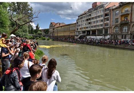 Foto: Szilágyi Lóránd / BIHOREANUL