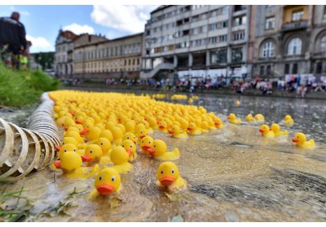 Foto: Szilágyi Lóránd / BIHOREANUL