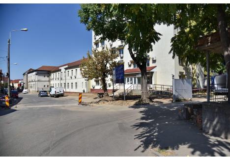Foto: Szilágyi Lóránd / BIHOREANUL
