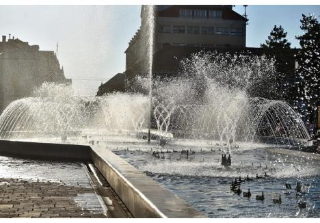 Foto: Szilágyi Lóránd / BIHOREANUL