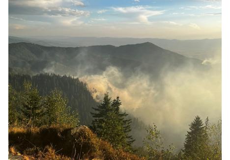 foto: ISU Crișana - Bihor