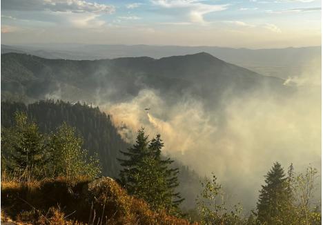 foto: ISU Crișana - Bihor