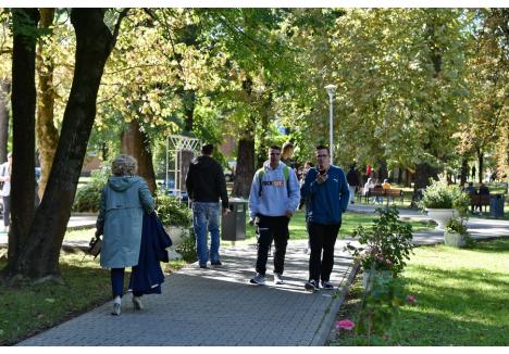 Foto: Szilágyi Lóránd / BIHOREANUL