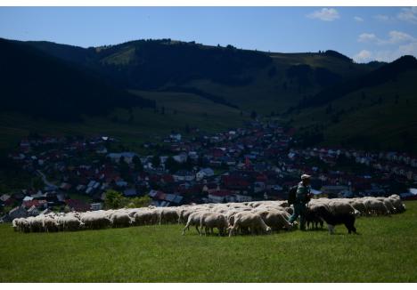 (foto: Constantin Demeter)