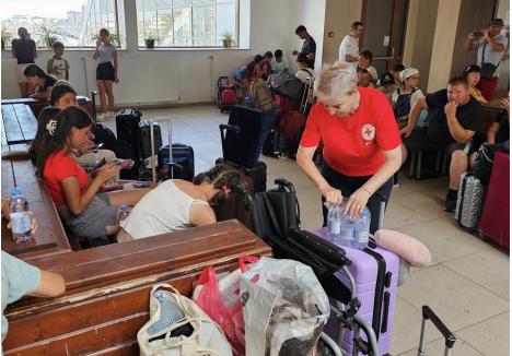 Foto: Facebook Crucea Roşie filiala Arad