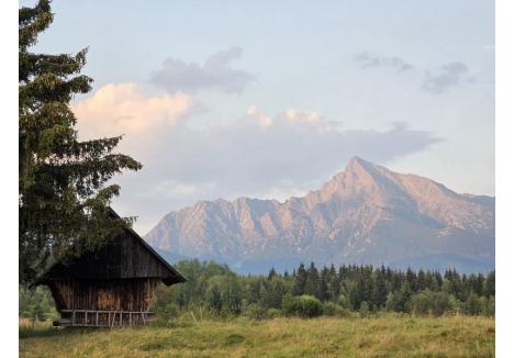 (foto: Gheorghe Petrila)