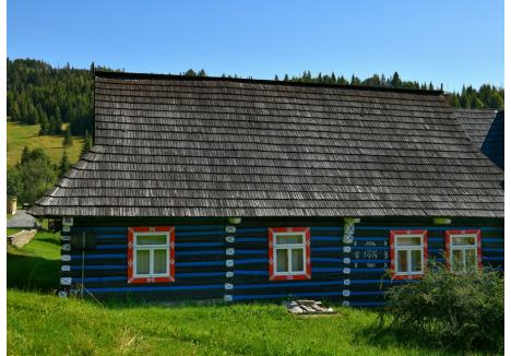 (foto: Ovidiu Gabor)