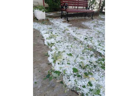 foto: Meteo Tulca