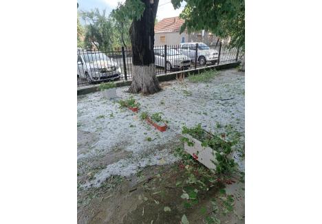 foto: Meteo Tulca