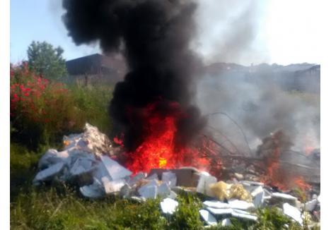 Până acum, incendierea deșeurilor era sancționată cu amendă (foto: arhiva Gărzii de Mediu Bihor)
