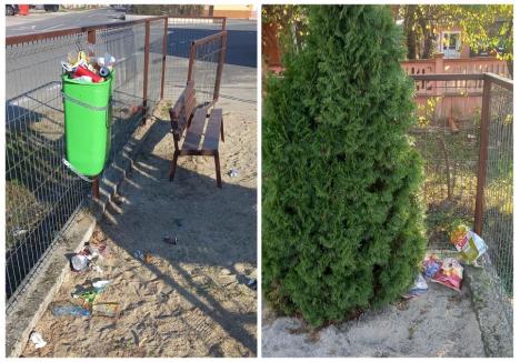Localnicii din Ineu au reclamat și în trecut, pe rețelele de socializare, problema gunoaielor din comună (sursa foto: Facebook / Ineuanii)