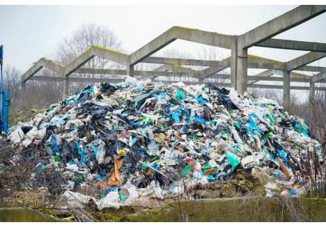 La începutul anului 2023, comisarii de mediu au depistat o uriașă groapă de gunoi clandestină la marginea Oradiei, pe terenul fostelor sere Orser