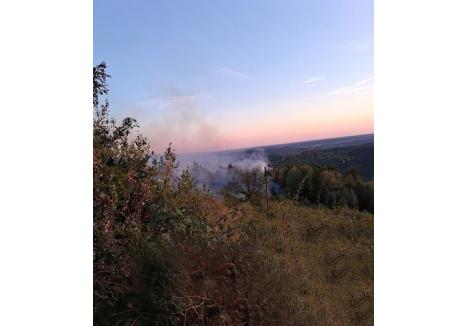 Foto: ISU Crișana - Bihor