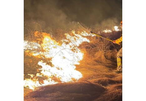 Foto: ISU Crișana - Bihor