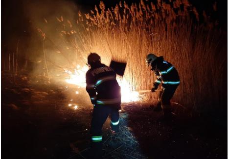 foto: arhiva ISU Crişana