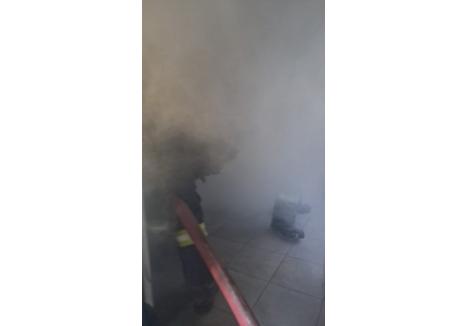 (foto: ISU Crișana)