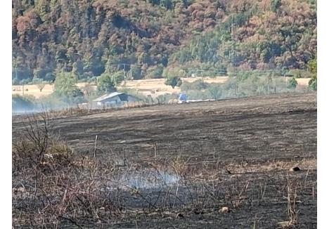 Foto: ISU Crișana - Bihor