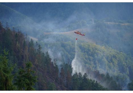 Foto: Paul Lelea / BIHOREANUL