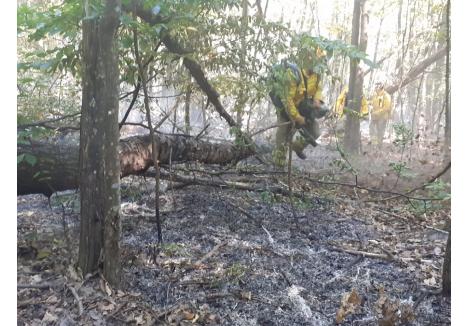 Foto: ISU Crișana - Bihor
