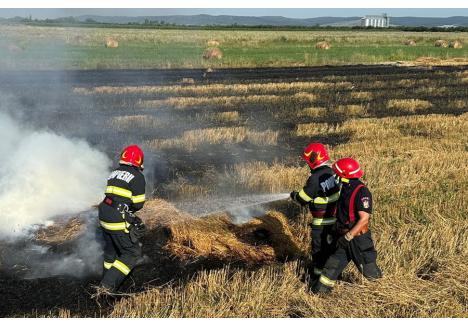 (foto: ISU Crişana)