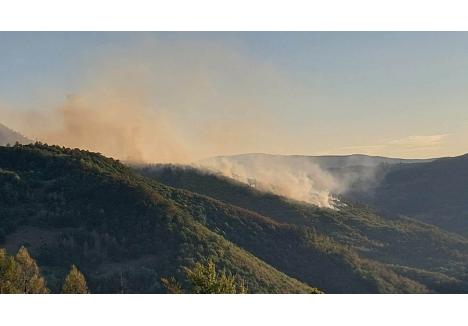 sursa foto: Facebook / Meteo Tulca-Bihor